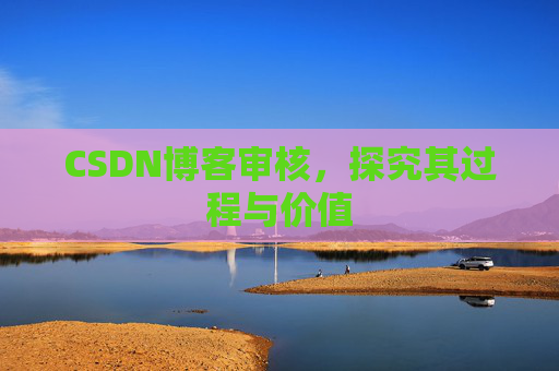 CSDN博客审核，探究其过程与价值